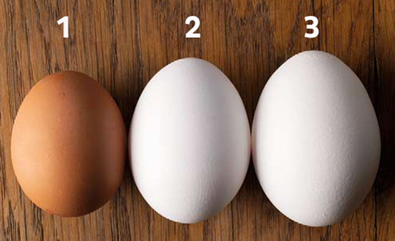 Es gibt 3 Eiergrössen: Grosse Eier, 63 g+ (1); normale Eier, 53 g+ (2); kleine Eier, 45 g+ (3).